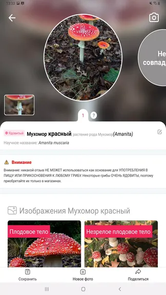 Скриншот 7/7