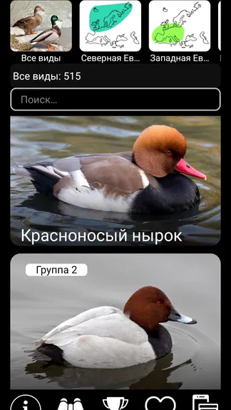 Скриншот 1/8