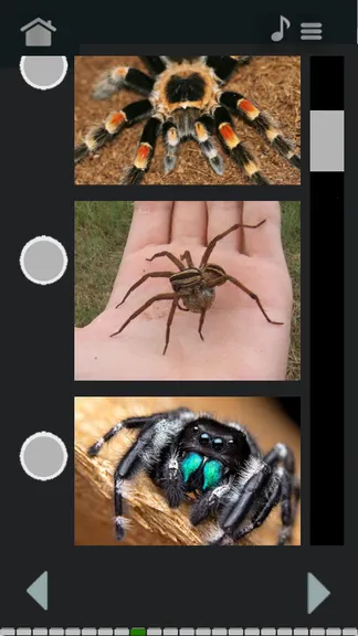 Скриншот 3/5