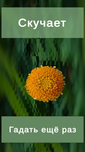 Скриншот 3/3