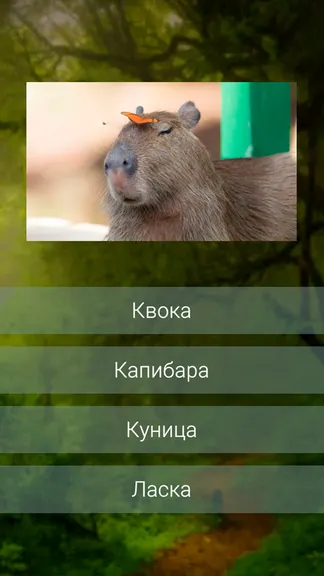 Скриншот 3/3