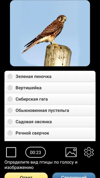 Скриншот 6/8