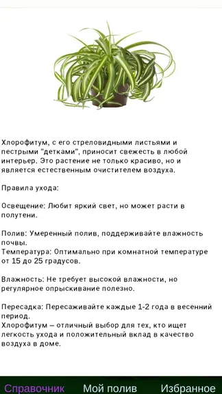 Скриншот 3/3
