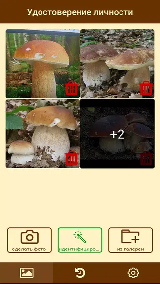 Скриншот 3/7