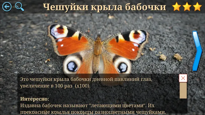 Скриншот 7/7