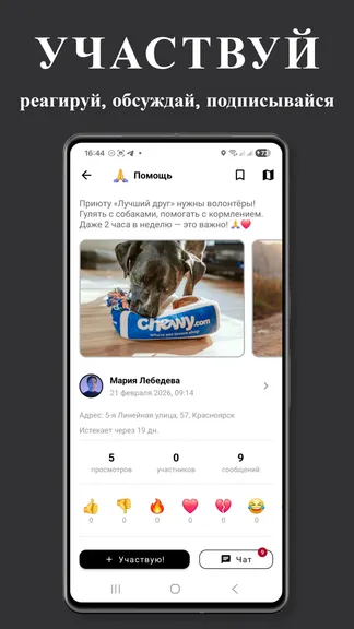 Скриншот 2/5