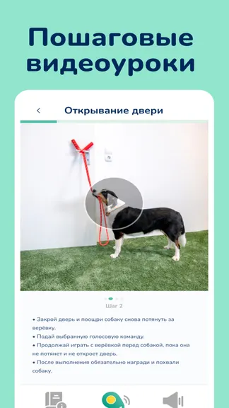 Скриншот 3/6