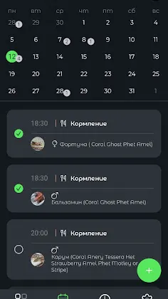 Скриншот 2/2