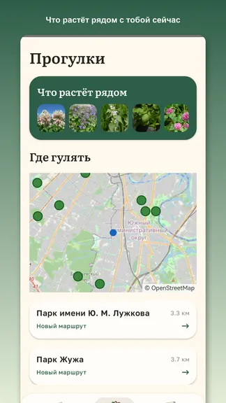 Скриншот 3/6