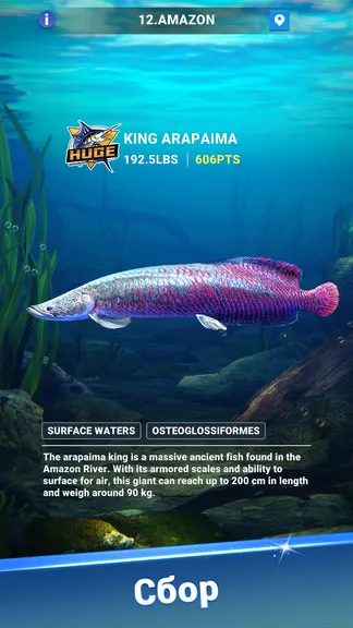 Скриншот 5/7