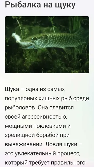 Скриншот 3/6