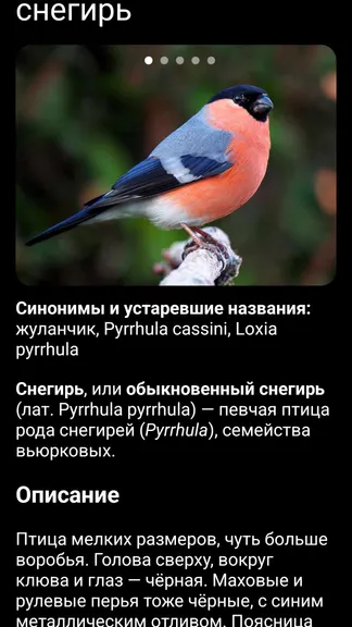 Скриншот 4/8
