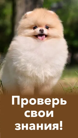 Скриншот 3/8