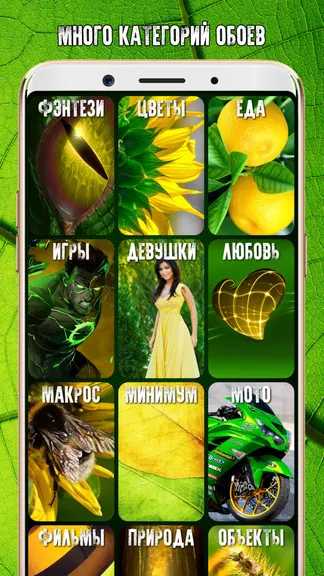 Скриншот 2/10