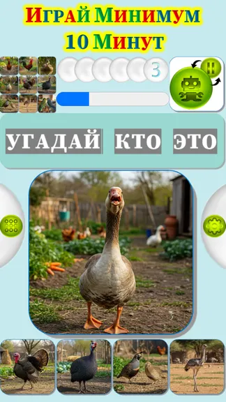 Скриншот 1/4