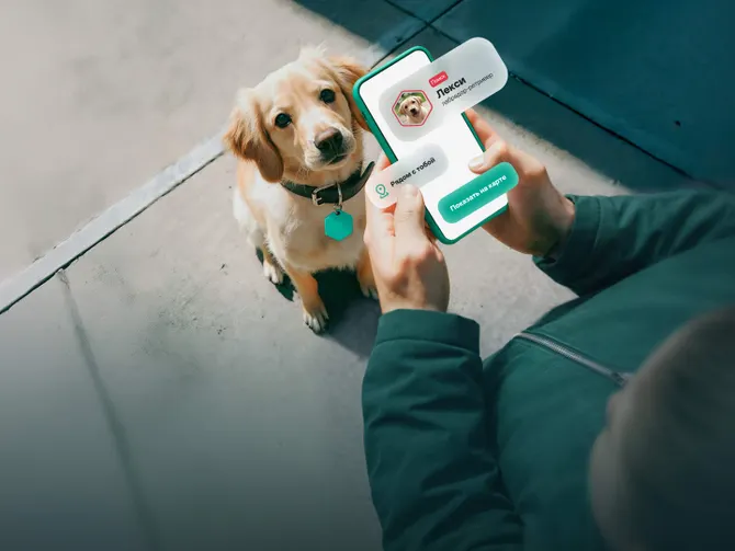 Обложка события Умный трекер для ваших собак