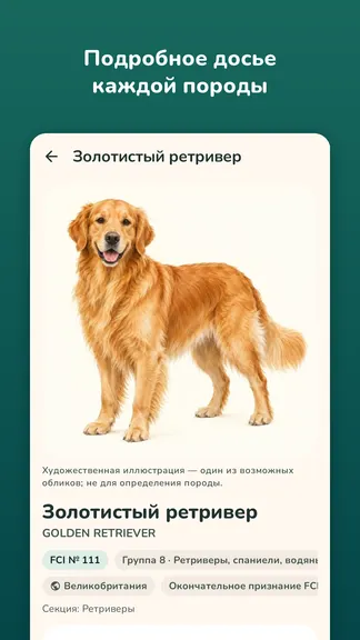 Скриншот 7/8