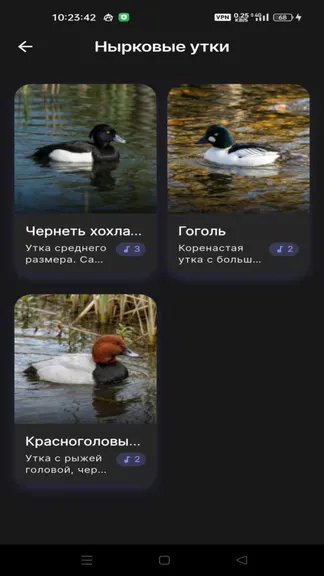 Скриншот 6/6