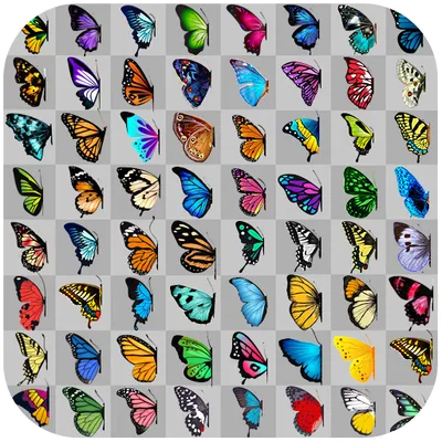 Butterfly connect game