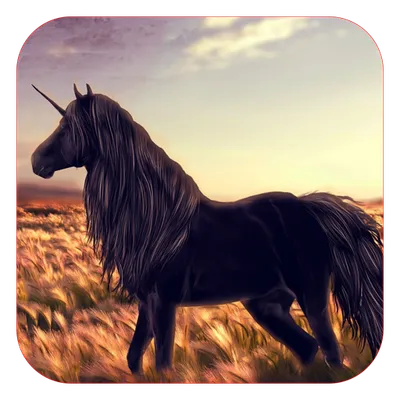 Horse Live Wallpaper