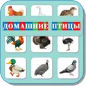 Карточки Логопеда Птицы (108) логотип