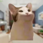 PopCat Clicker логотип