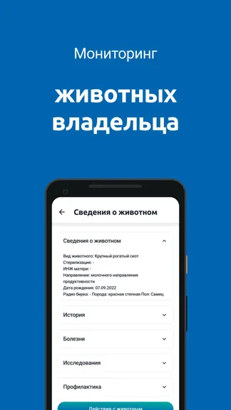 Скриншот 3/7