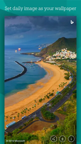 Скриншот 1/4