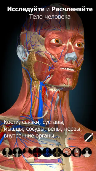 Скриншот 1/6
