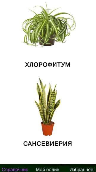 Скриншот 1/3