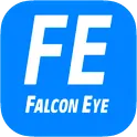 FE DVR логотип