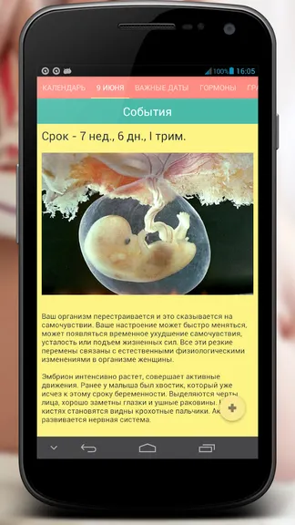 Скриншот 2/7