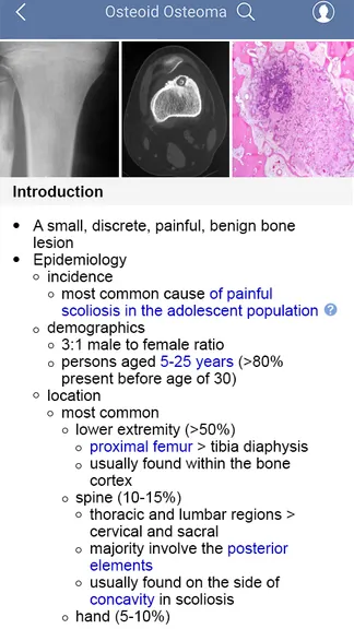 Скриншот 1/4