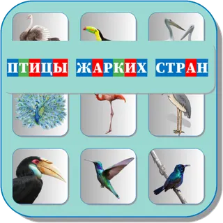 App icon