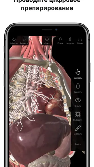 Скриншот 5/5