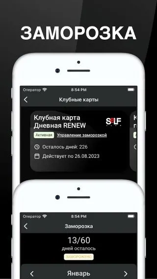 Скриншот 1/4