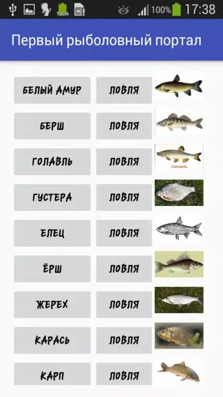 Скриншот 2/5