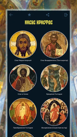 Скриншот 2/7