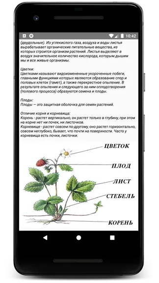 Скриншот 5/6