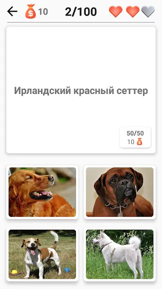 Скриншот 8/8