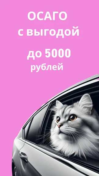 Скриншот 3/6