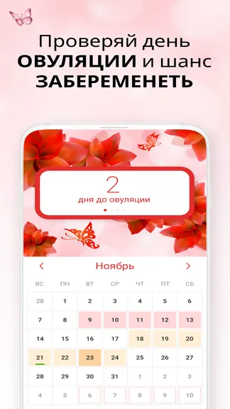 Скриншот 5/6