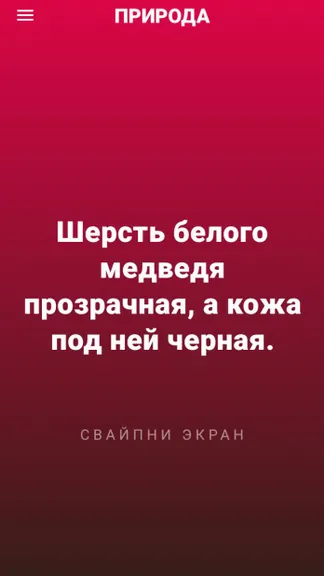 Скриншот 4/7