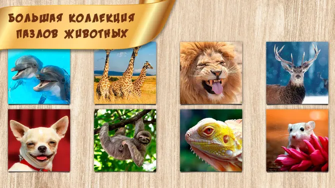 Скриншот 1/3