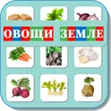 Карточки Логопеда Овощи (132) логотип