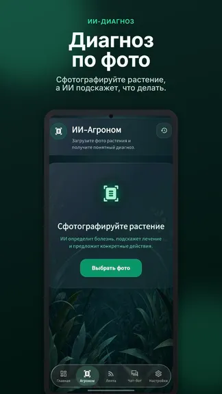 Скриншот 2/5