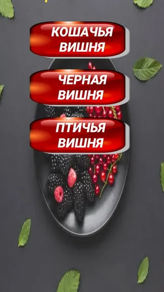 Скриншот 3/4