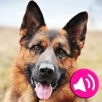 Animal sounds 2024 логотип