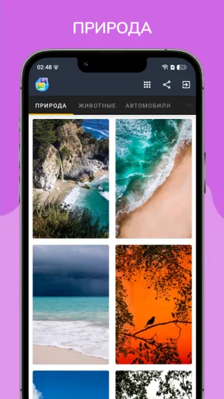 Скриншот 1/10