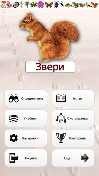 Скриншот 1/8